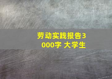 劳动实践报告3000字 大学生